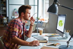 WordPress Hosting in Nederland - Hosting2GO
